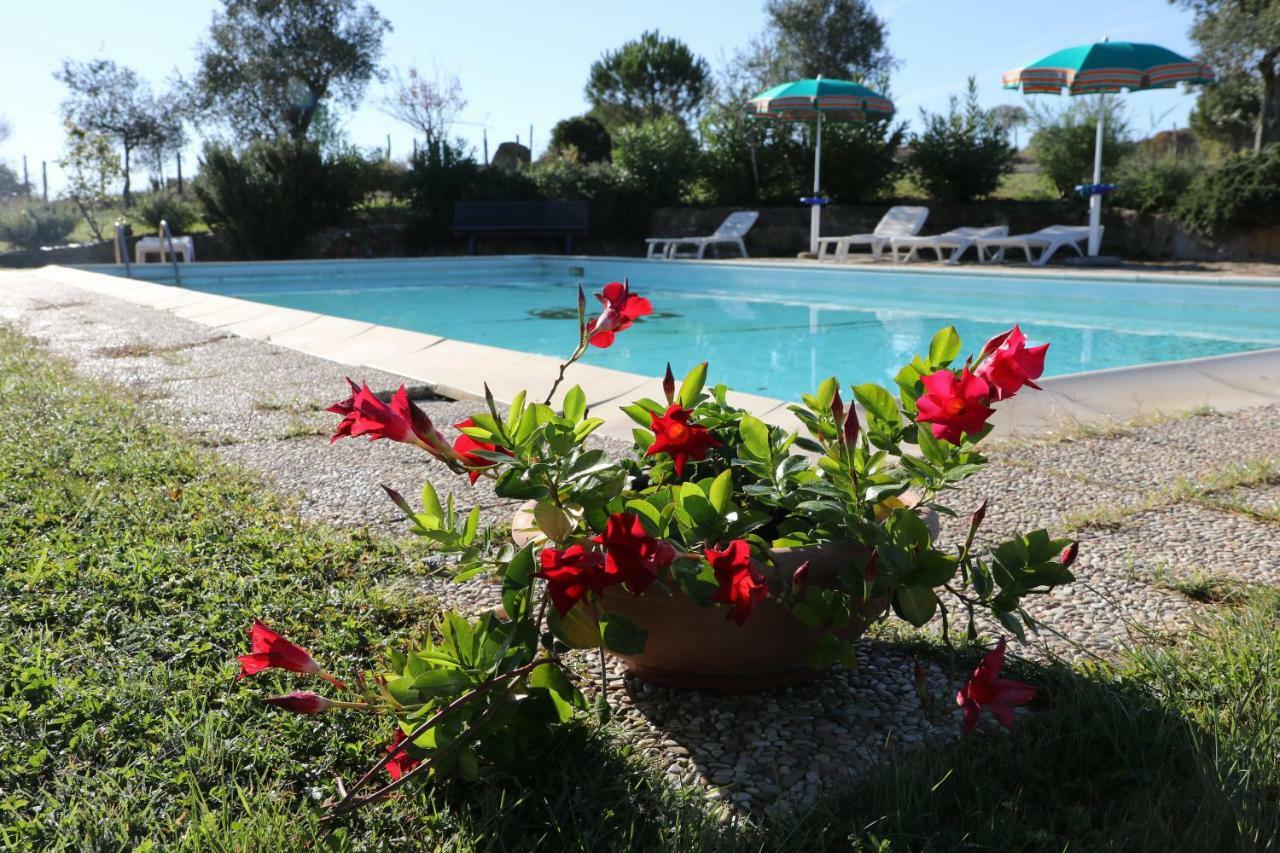 Agriturismo Tinti مونتيانو المظهر الخارجي الصورة